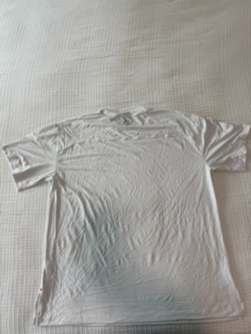 ASRV Silver-Lite 2.0 Oversized Tee White Valley of Fire Men's M NWT DSG-0822